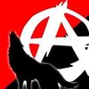 anarchy_wolfe
