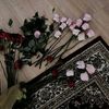 nona.nis19_