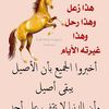 mabark809070