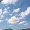 alsoftieteuhiii