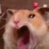 syasensei
