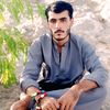 shabirbacha3170