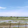 vella_agropreneur