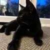 user_109361002