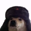 gakoxk