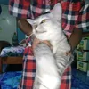 mamago_5392