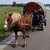 countrysu