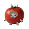 pig_o2n