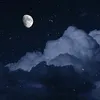 duongiuday41