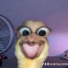 anaknya_rionkenzo