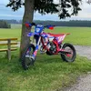 lion_on_beta
