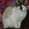 tre_mg