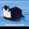 4ereshnya_vrode