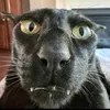 nghia_724