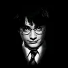 mr.potterhead