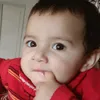 user88096178460830gul