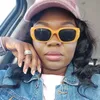 vivyfabz