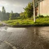 pztkeksik