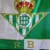 viva_er