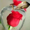 zahidawan814