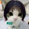lavi.yuukok