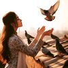 hebafaroun296