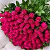 m_halima22