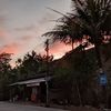 santu_yl23