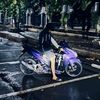 varlexxx01