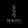 wagyuevolution