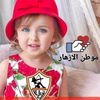 gamal_refai2