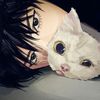 meong_glider