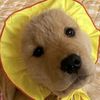 jason_00700