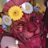 gumhroth