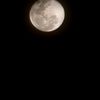 thithiago_223