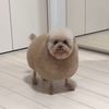 lola.carst