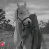 totathequeen6