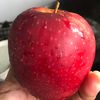 yuliae77