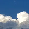 nxzzya