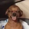 lalilalilali___
