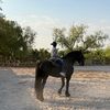 anastepviveros627