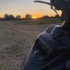ham_fra_5792
