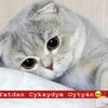 ermende_lay