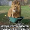 arbuzkvartira