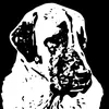 kangal_diablo
