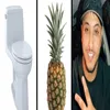 toilettes_ananas_nasdas