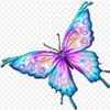 user44833033081845