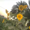 zzzaaa0380