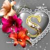 user56178450022324