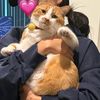 lilym803
